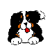 dog2.gif